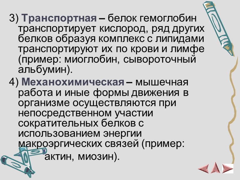 3) Транспортная – белок гемоглобин транспортирует кислород, ряд других белков образуя комплекс с липидами